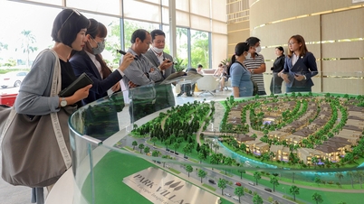 Đại gia bất động sản bác tin 'bán đất cho Aeon thu về chục triệu USD'