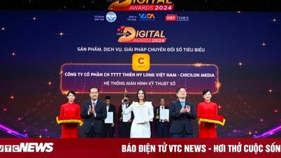 កំណើនដ៏រឹងមាំរបស់ Chicilon Media នៅក្នុង Q3 និង Outlook សម្រាប់ឆ្នាំ 2024