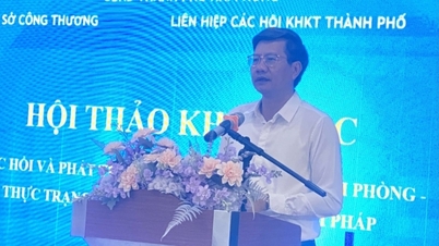 Scientific workshop "Restoration and development of shipbuilding industry in Hai Phong city"