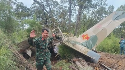 Cận cảnh máy bay Yak-130 được tìm thấy tại Vườn Quốc gia Yok Đôn