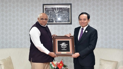 Các cơ hội hợp tác giữa bang Gujarat, Ấn Độ và Việt Nam đang được mở ra