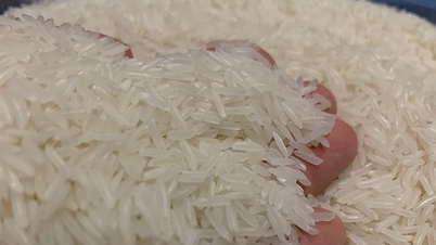Vừa lập ‘cú đúp’ kỷ lục lịch sử, gạo Việt lại có diễn biến bất ngờ