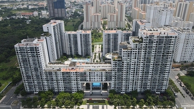 Chuẩn hóa quy trình xếp hạng chung cư