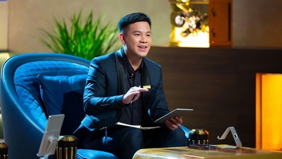 Shark Thai: Warten Sie nicht, bis Sie ein Riese sind, um Chancen zu geben