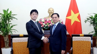 Việt Nam cần thúc đẩy cải thiện hơn nữa môi trường đầu tư, triển khai hợp tác trong lĩnh vực mới