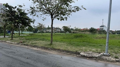 Bị 'tố' không trả lời kiến nghị, Sở Tài nguyên Môi trường TP.HCM nói gì?