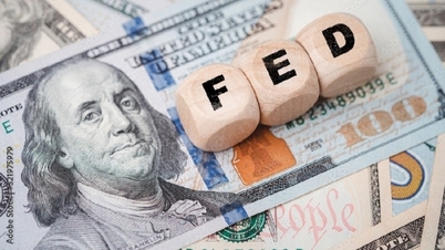 Tỷ giá USD, EUR, AUD, CAD, Yên Nhật, Bảng Anh... Đón khả năng Fed tăng lãi suất, đồng bạc xanh tăng nhẹ