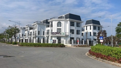 Land auction flourishes