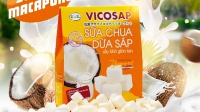 'Unique Tra Vinh': Crispy dried coconut yogurt with 6 flavors, strange but delicious