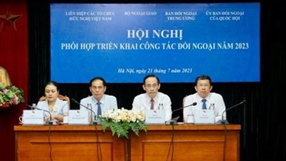 Phối hợp triển khai công tác đối ngoại năm 2023