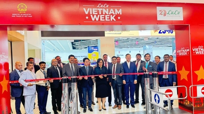 Ouverture de la Semaine des produits vietnamiens au supermarché Lulu (EAU)