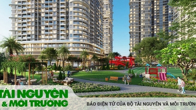 Millennials thể hiện “chất sống” khi chọn nhà ở
