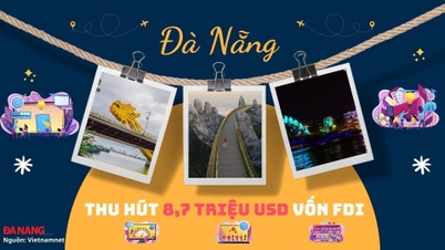 Infographic - ទីក្រុង Da Nang ទាក់ទាញ 8.7 លាន USD នៅក្នុងរដ្ឋធានី FDI