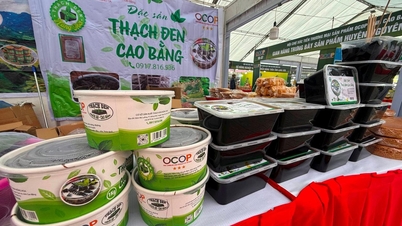 Cao Bang ផ្លាស់ប្តូរដោយសារ OCOP