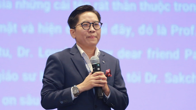 UMT temporarily suspends Dr. Nguyen Tra Giang from work