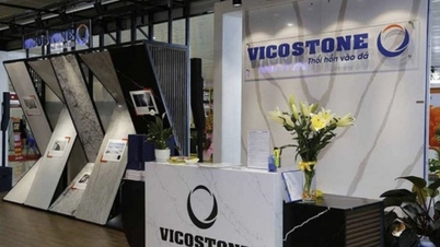 Vicostone (VCS) business cash flow decreased by 97% but still paid 20% dividend