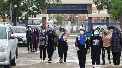 Students in Binh Dinh province have 10 days off for the Lunar New Year