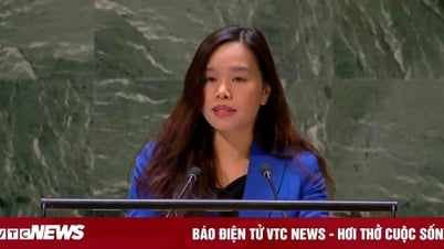Việt Nam ủng hộ cải tổ hoạt động của Đại hội đồng Liên Hợp Quốc