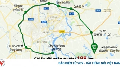 Assign the organization to prepare a pre-feasibility study report for Ho Chi Minh City Ring Road 4