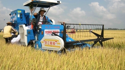 What to do so that farmers and rice exporting businesses can both make a profit?