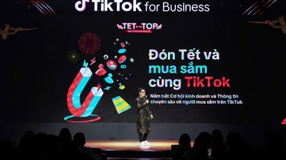 TET ទៅ TOP 2025៖ ដោះសោសក្តានុពលអាជីវកម្មរបស់ TikTok
