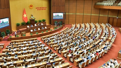 Hôm nay, Quốc hội làm công tác nhân sự, bàn về cải cách tiền lương