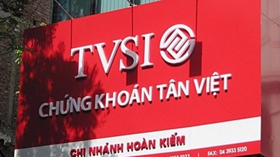 241 tỷ lợi nhuận của Chứng khoán Tân Việt (TVSI) ‘bốc hơi’ sau kiểm toán