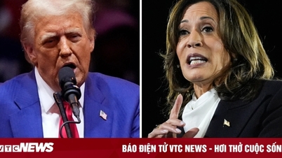 Trump - 'សង្រ្គាមពាក្យសម្តី' របស់ Harris កាន់តែក្តៅគគុកជិតថ្ងៃបោះឆ្នោតអាមេរិក