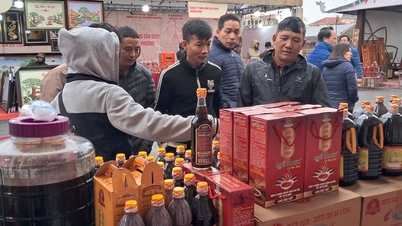 Xúc tiến quảng bá sản phẩm nông sản OCOP gắn kết phát triển du lịch địa phương tại Sóc Sơn
