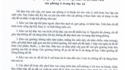 Ký túc xá cấm sinh viên nằm nệm do có… rệp