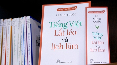 Searching for the “soul of Vietnamese” in the people’s speech