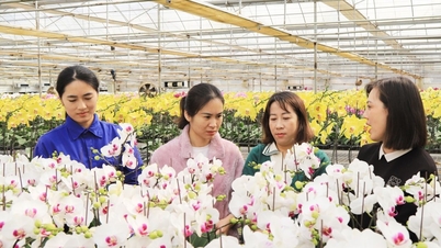 Sơn La phát triển nông nghiệp gắn với du lịch