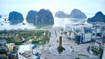 Quảng Ninh xây dựng Đề án khôi phục, tái thiết nền kinh tế sau bão số 3