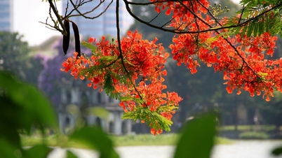 ហេតុអ្វីបានជាអ្នកគួរទៅលេងហាណូយក្នុងរដូវក្តៅ?