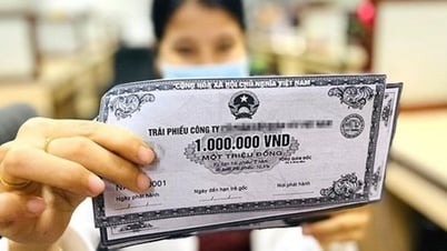 A series of businesses issue bonds with interest rates up to 14%/year