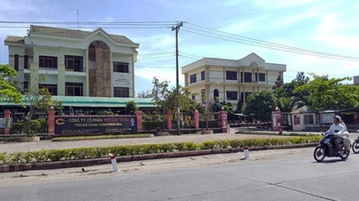 Khoản nợ thuế của Thuận Thảo từ gần 30 tỉ đồng 'nở' thành gần 185 tỉ đồng, do đâu?