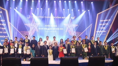 TCP Việt Nam, Hội LHTN Việt Nam vinh danh những ‘ngôi sao mai’ người tốt việc tốt