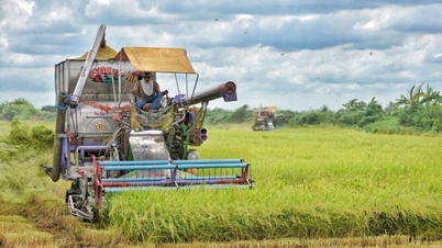 Thailand strives to develop digital economy