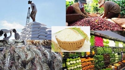 Содействие экспорту сельскохозяйственной, лесной и рыбной продукции с целью использования преимуществ международной экономической интеграции