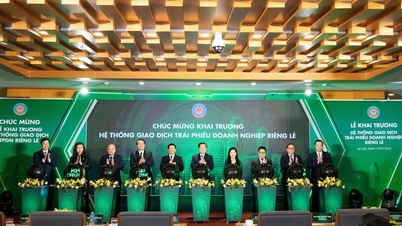 Doanh nghiệp nào “mở hàng” hệ thống giao dịch trái phiếu doanh nghiệp riêng lẻ?