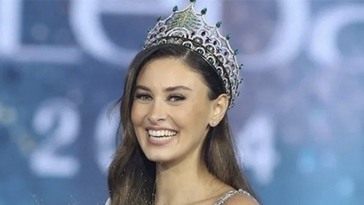 Un membre de l'organisation Miss Univers s'excuse d'avoir raillé Miss Liban