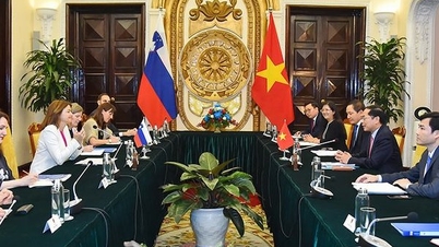 Việt Nam muốn tăng cường quan hệ hợp tác nhiều mặt với Slovenia
