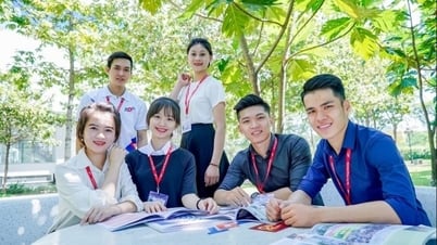 សាលារៀនជាច្រើនទៀតប្រកាសពិន្ទុ transcript benchmark កន្លែងដែលត្រូវរកមើលពិន្ទុប្រឡងចូលសាកលវិទ្យាល័យឆ្នាំ 2024?