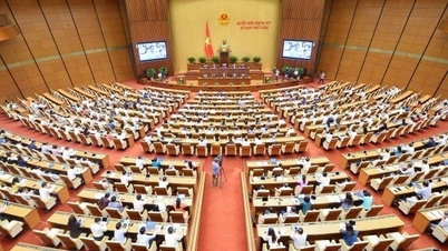 Today, the National Assembly reviewed personnel work and closed the 5th session.