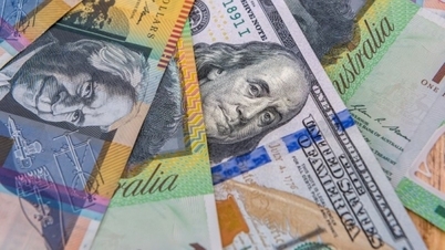 USD, EUR, CAD, Yen Nhật, Bảng Anh, tỷ giá hối đoái... Đồng bạc xanh ổn định, Fed kết thúc tăng lãi suất?