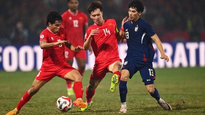 Tuyển Việt Nam đón tin bất ngờ từ FIFA sau chiến thắng Thái Lan