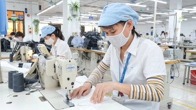 Mới mang thai thì nghỉ việc, đóng BHXH tự nguyện có được hưởng thai sản?