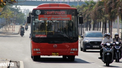 Nhiều tuyến xe buýt ở Nha Trang sẽ dừng hoạt động trong 2 ngày Tết