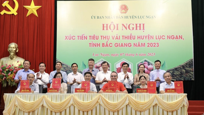 WinMart dự kiến tiêu thụ 200 tấn vải thiều Bắc Giang