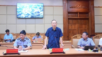 Deputy Minister of Agriculture and Rural Development requested Thua Thien Hue to face the shortcomings in combating IUU fishing.